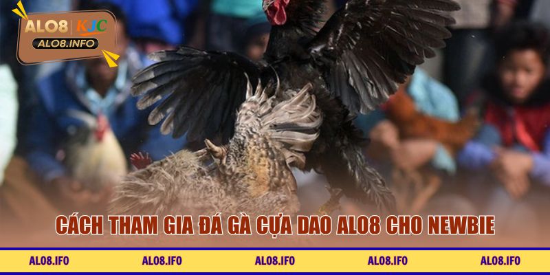 Cách tham gia đá gà cựa dao trực tuyến cho newbie