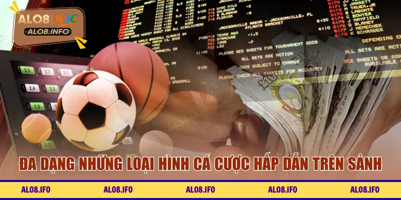 Đa dạng những loại hình cá cược hấp dẫn trên sảnh