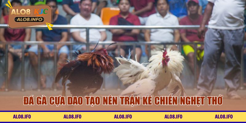Đá gà cựa dao tạo nên trận kê chiến nghẹt thở