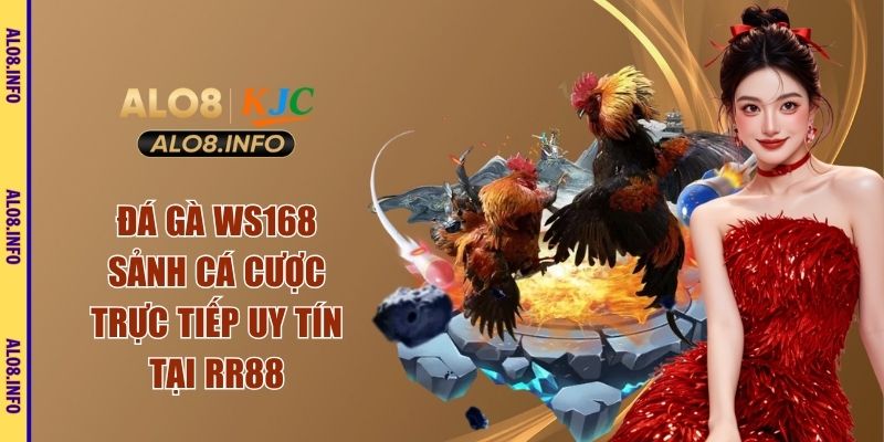 đá gà ws168