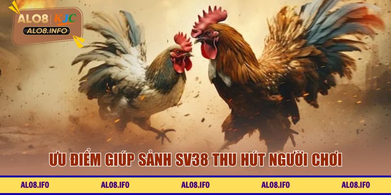 Ưu điểm giúp sảnh SV38 thu hút người chơi