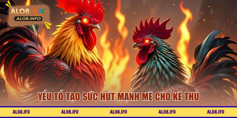Yếu tố tạo sức hút mạnh mẽ cho kê thủ